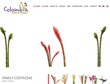 Tablet Screenshot of heliconias.net
